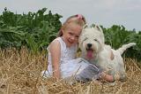 ENFANT ET CHIEN 515